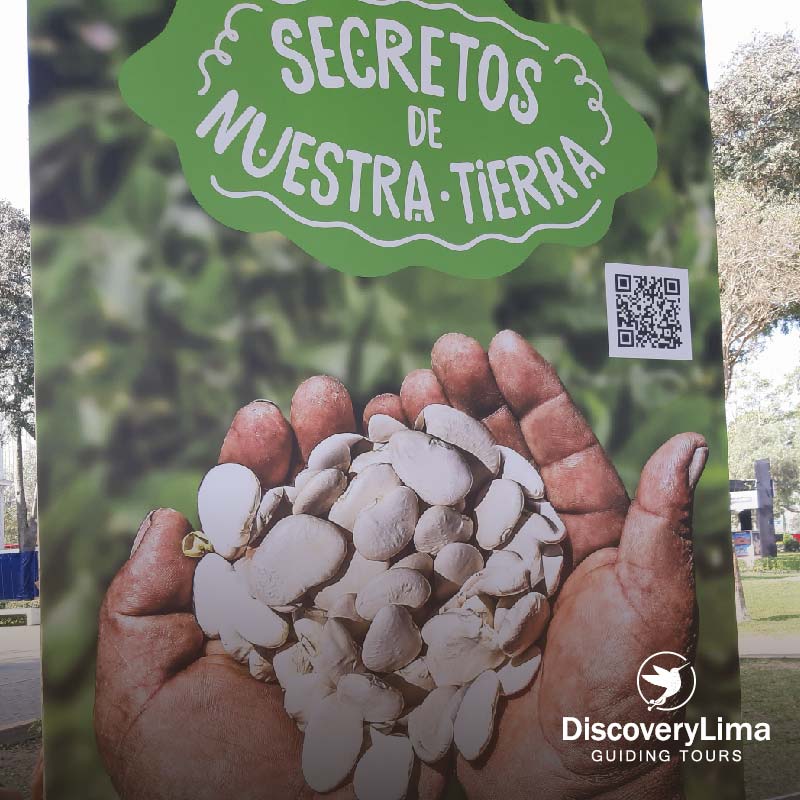 Tour Experiencias Culinarias y Barranco Artístico - Discovery Lima